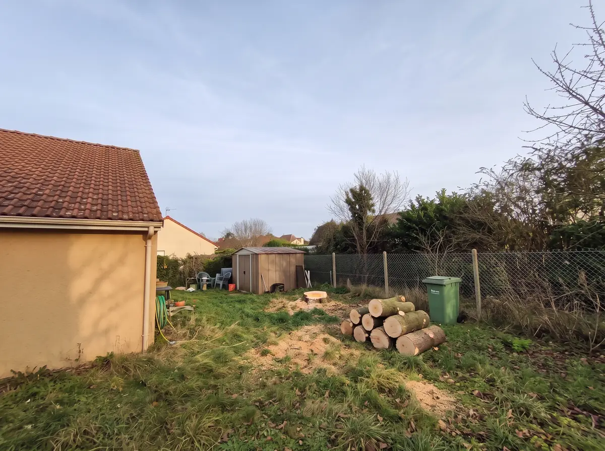 Abattage : après les travaux