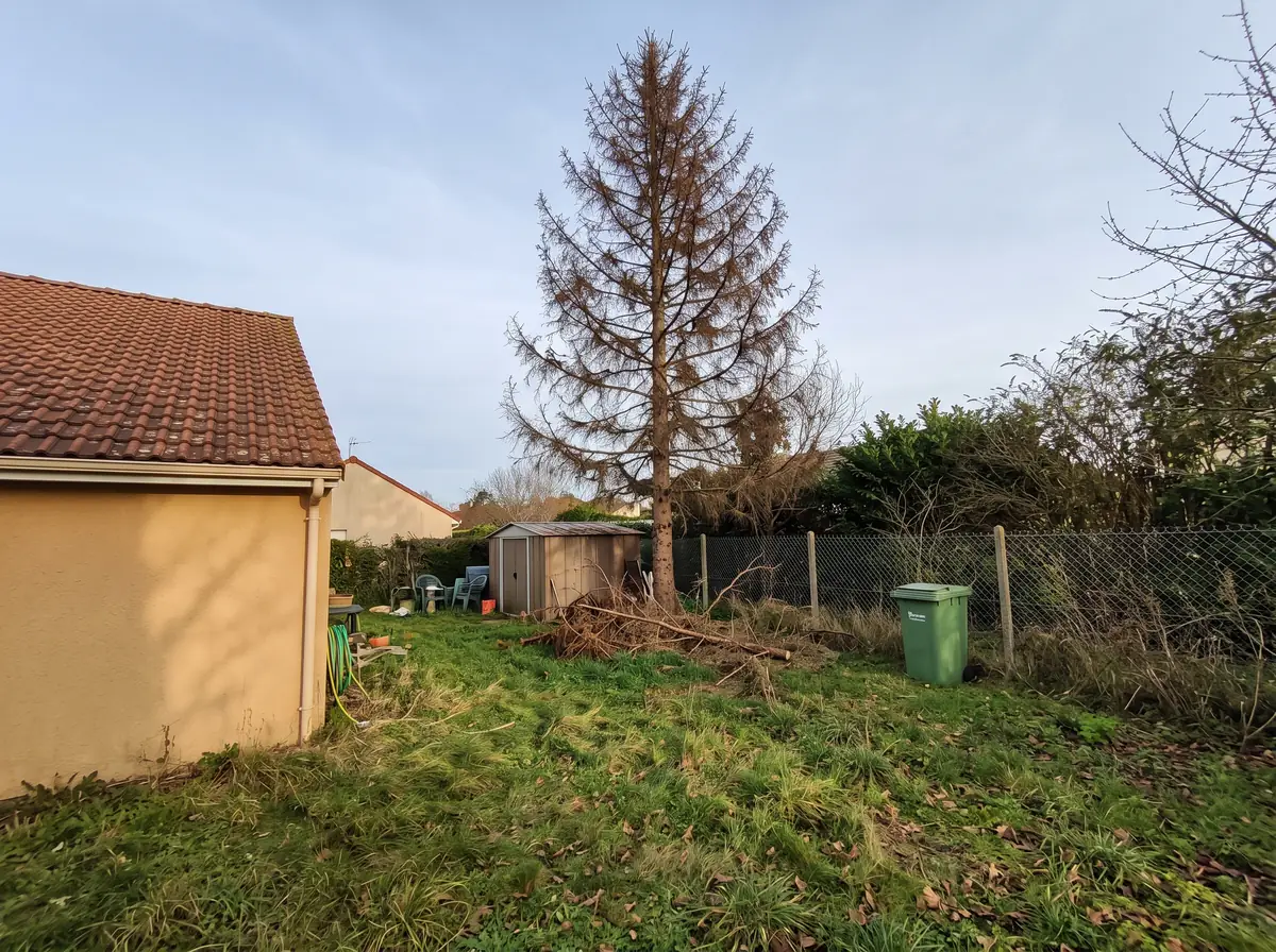 Abattage : avant les travaux