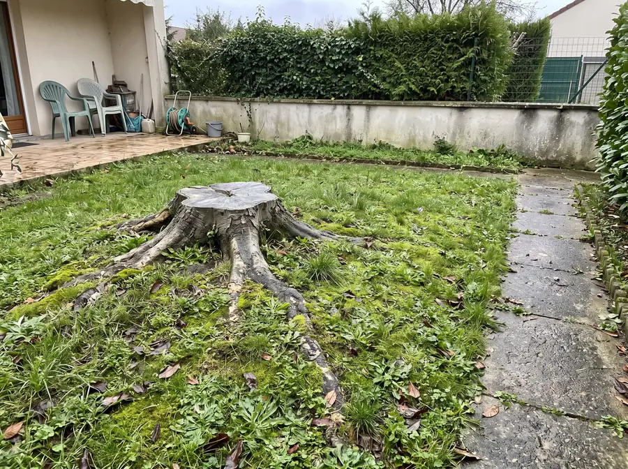Dessouchage : avant les travaux