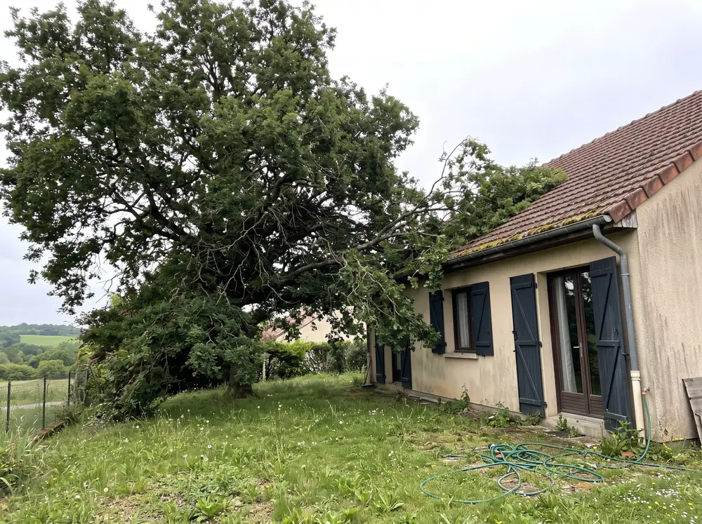 Elagage : avant les travaux